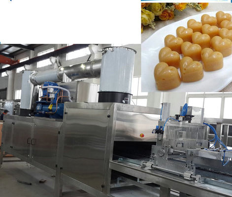 Piccola caramella dell'acciaio inossidabile che fa macchina fornitore