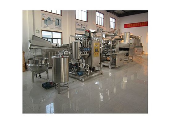 Completi la piccola produzione di attrezzature gommosa automatica di Candy fornitore
